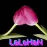 lalehan