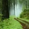 _gulsah_