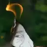 nurcanseas