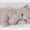 keje_01