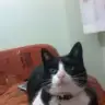 melda...