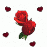 flower24