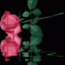 fatma_gencer