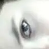 pillibebecik