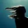 hacceppe