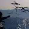 karabiberr