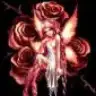 heLy