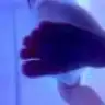 nesekaan