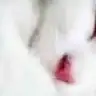 derya_izmirr