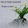bukre38