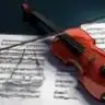 MELTEMNUR1007