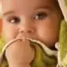 apaydin