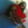 peloss
