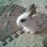 busy