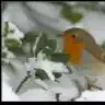 dilekgry