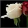 yasemn34