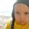 crocusdan