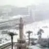 gulba88