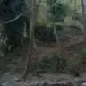 melekmrv