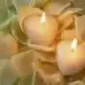 .PariLti.