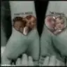 eftelyaecrin