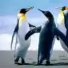 anneyimmutluyum