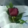 serkan_melike