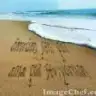 monarosa_angel