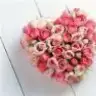 yasitek