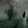 elfiida