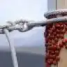 semu_55