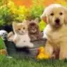 beren_16
