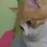 clarice