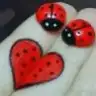umutperisi