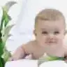 fatmatahadem