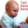 limoncicekleri