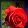 MELEK_83