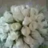 evosh