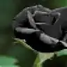 ELALIM
