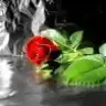 Tatli_tugce