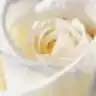 hilal_34