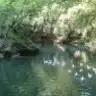 ebruoz