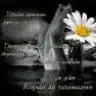 izzmir