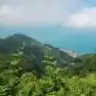 ozgeKY