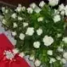 fatmabetl