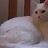 XSXELXIXMO