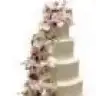 dygydn