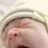 myosotisg