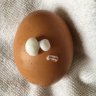 catlak yumurta