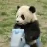 babyoil